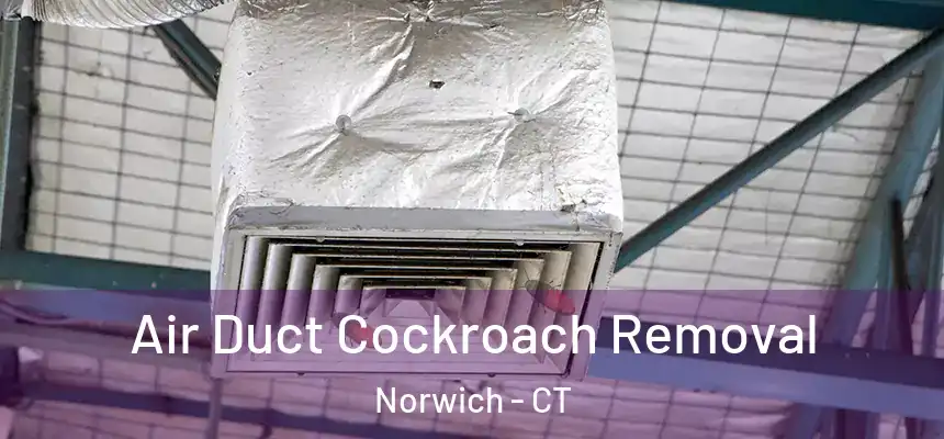 Air Duct Cockroach Removal Norwich - CT