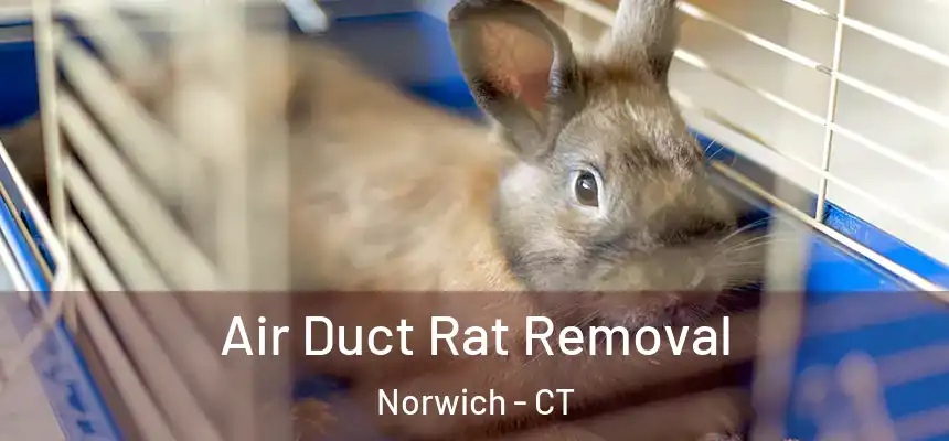 Air Duct Rat Removal Norwich - CT
