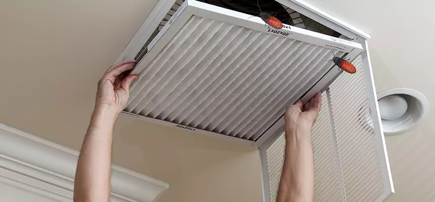 Preventive Cockroach-Proofing for Ducts in Norwich