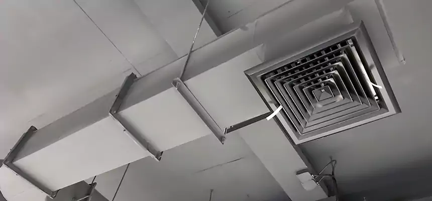 Our Pest Removal From Ducts Services in Norwich, CT