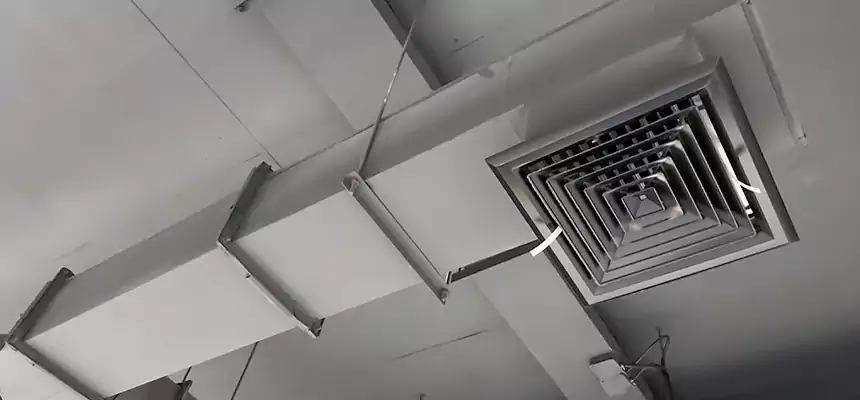 Our Rodent Droppings In Vents Services in Norwich, CT