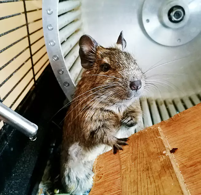 Why Homeowners & Businesses Trust Us Norwich, CT