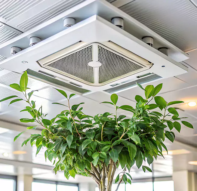 Why Homeowners & Businesses Trust Us in Norwich, CT